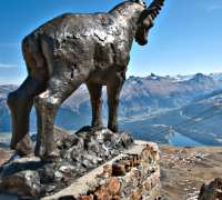 Piz nair hotsell